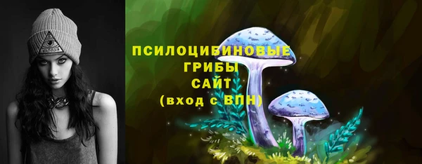 а пвп мука Гусь-Хрустальный