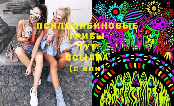 а пвп мука Гусь-Хрустальный
