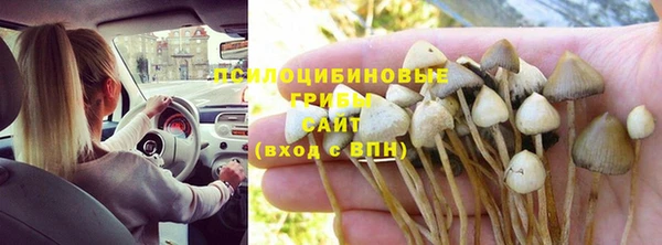 а пвп мука Гусь-Хрустальный